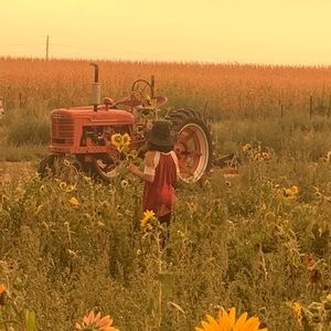 Meet your Posher, Joy